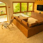 Beelvita - Heatted Pool& Jacuzzi Bielovce