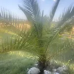 Beelvita - Heatted Pool& Jacuzzi * Bielovce