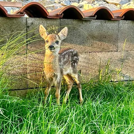 Vila Beelvita&jacuzzi