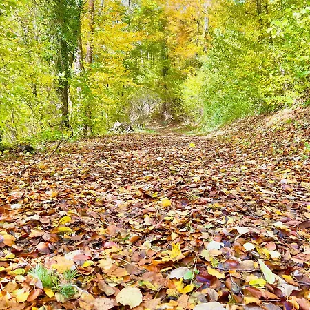 Beelvita&jacuzzi Bielovce