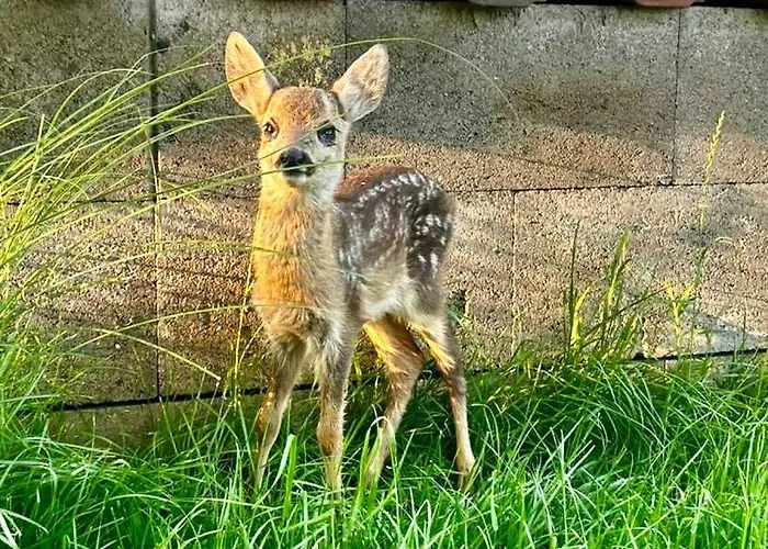 ヴィラ Beelvita&jacuzzi