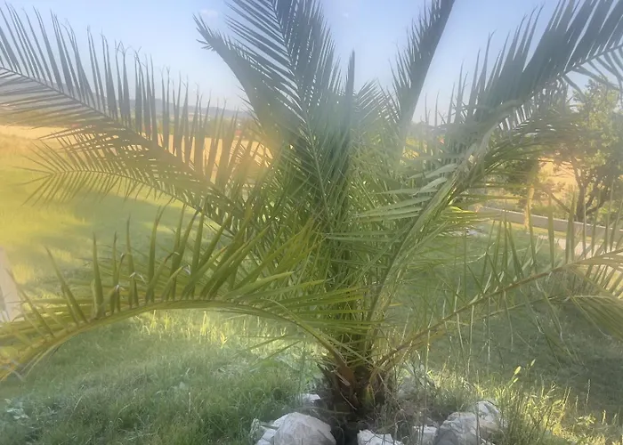 Beelvita&jacuzzi * Bielovce