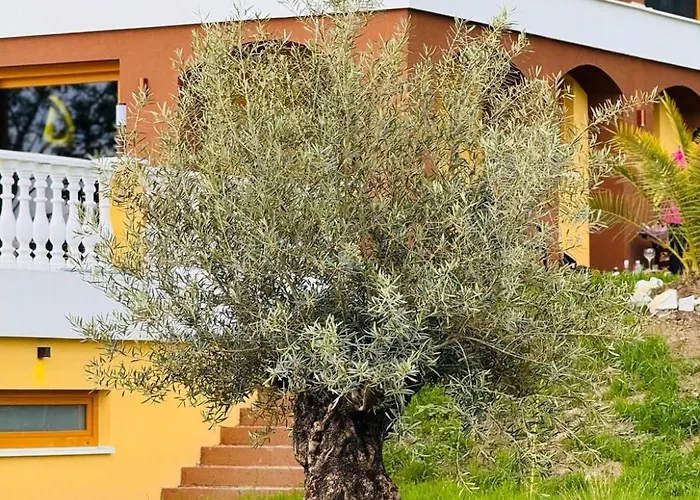 Beelvita&jacuzzi ヴィラ *