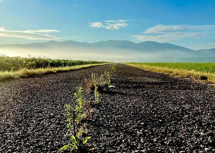 Beelvita&jacuzzi ヴィラ Bielovce