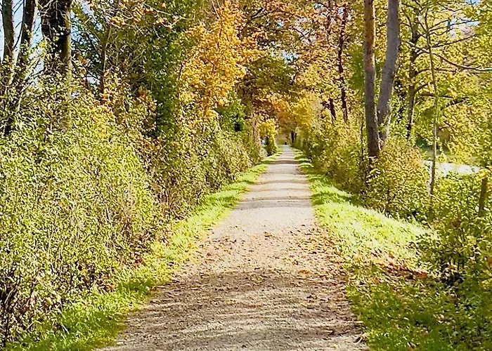 ヴィラ Beelvita&jacuzzi Bielovce