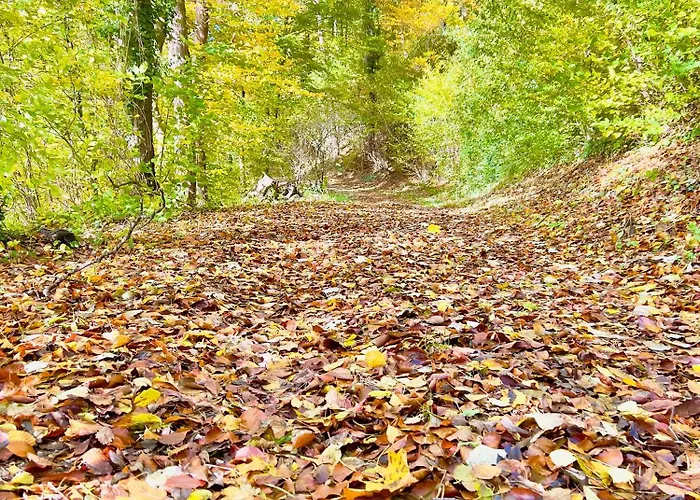 Beelvita&jacuzzi Bielovce